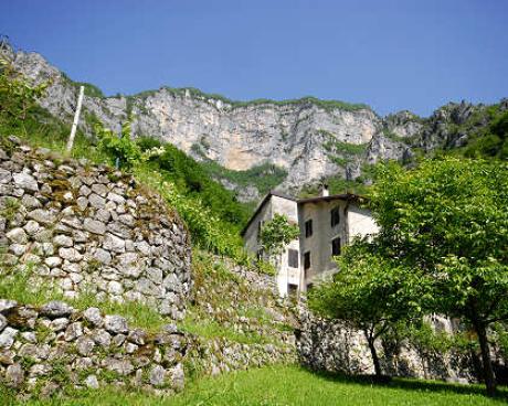 Bassanonet.it Un mondo di paesaggi terrazzati