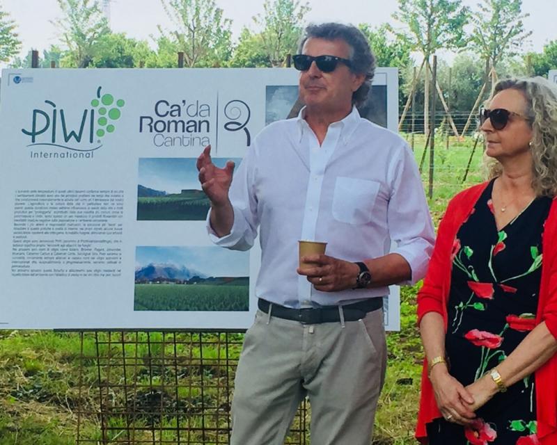 Bassanonet.it PiWi e vegeti