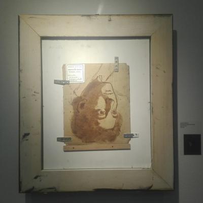 Bassanonet.it Dietro le tinte