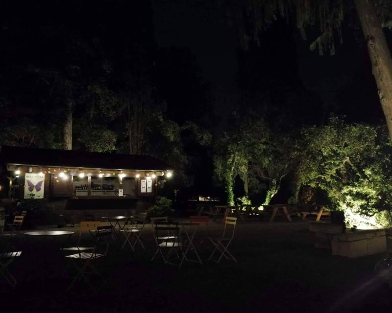 Bassanonet.it La parola al contemporaneo