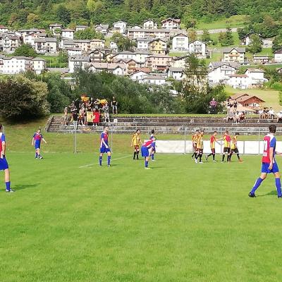 Bassanonet.it Impatto positivo