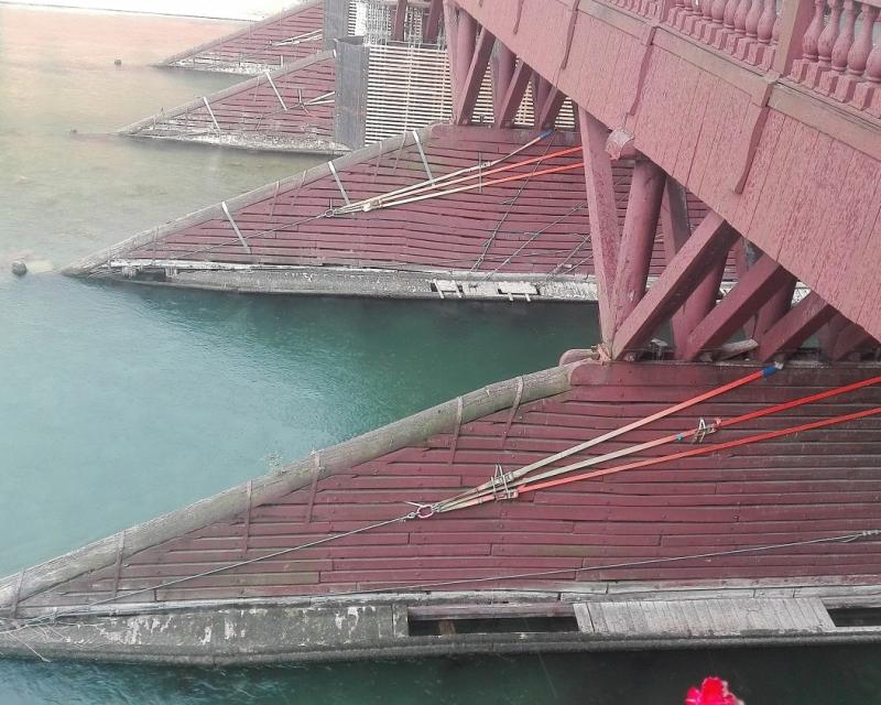 Bassanonet.it Arrivano i rostri