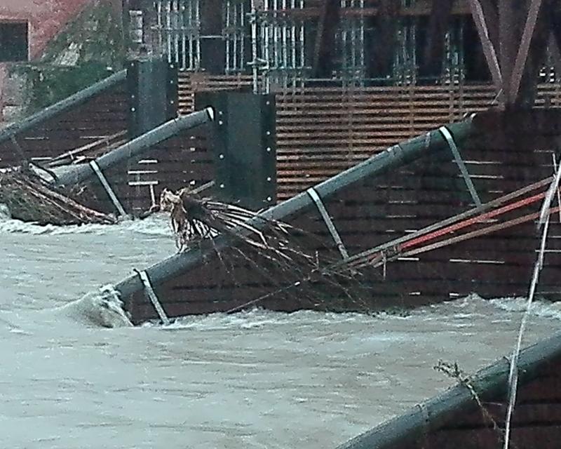 Bassanonet.it Attenti al fiume