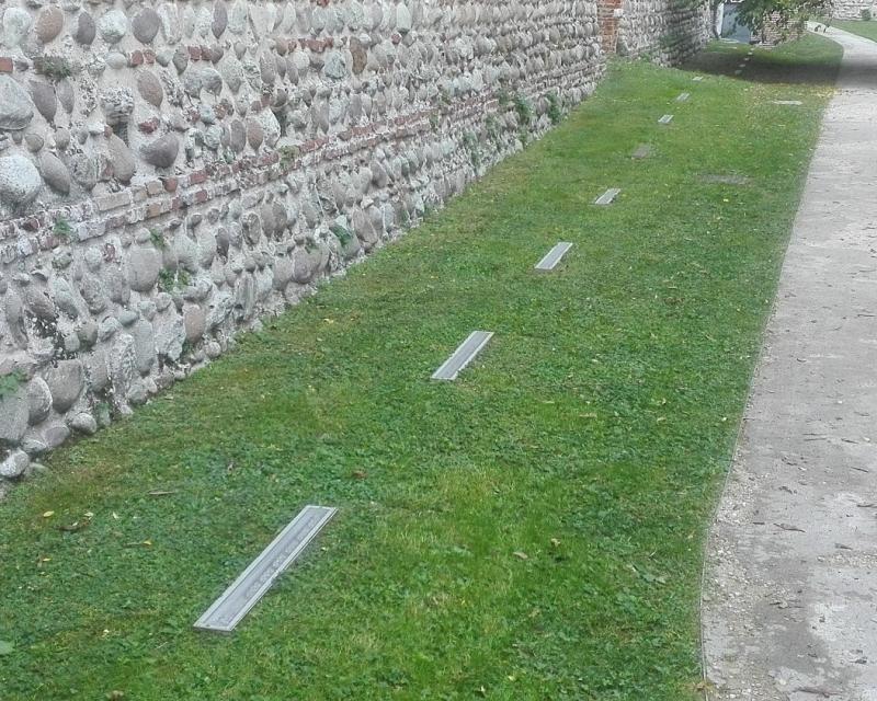 Bassanonet.it Facciamo luce