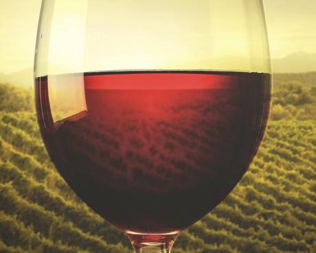 Bassanonet.it Il senso della vite