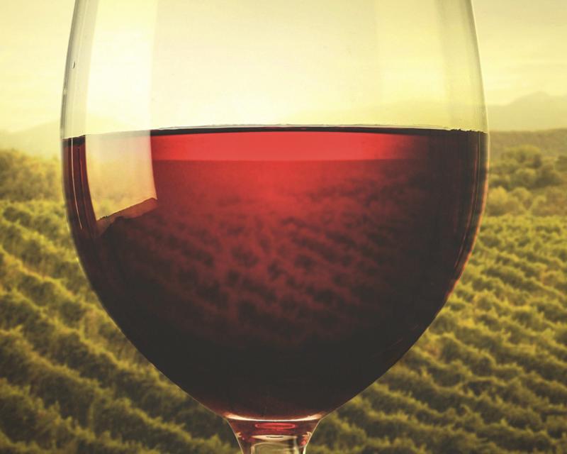 Bassanonet.it Il senso della vite