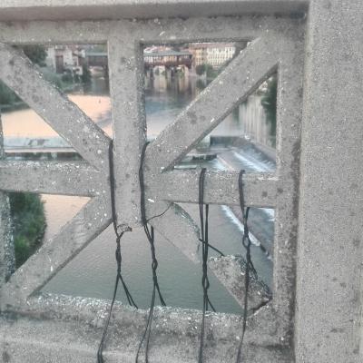 Bassanonet.it Cosa c'è di Nuovo