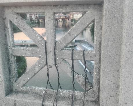 Bassanonet.it Cosa c'è di Nuovo