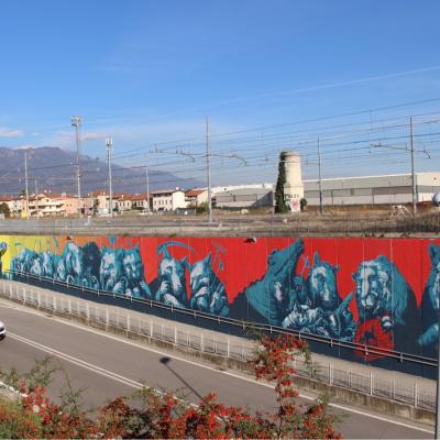 Bassanonet.it Ericailgatto