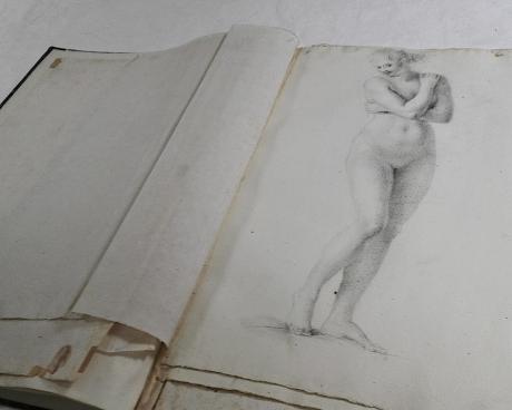 Bassanonet.it Copie di Factum