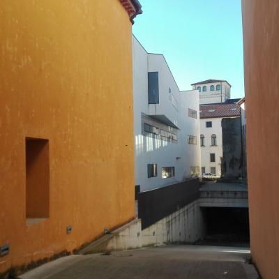 Bassanonet.it Stelle di Natale