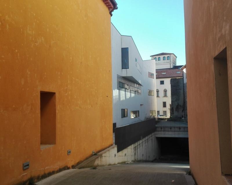 Bassanonet.it Stelle di Natale