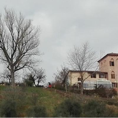 Bassanonet.it El bar de Montecruz