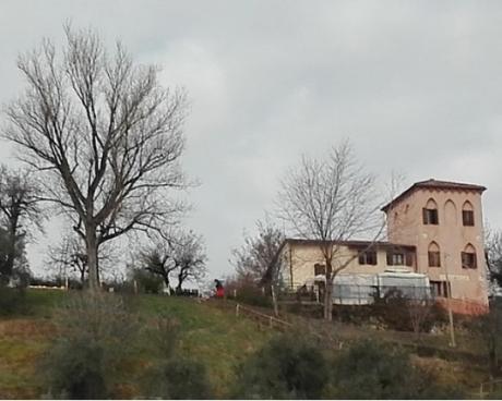 Bassanonet.it El bar de Montecruz