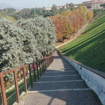 Bassanonet.it L'ascensore comunale