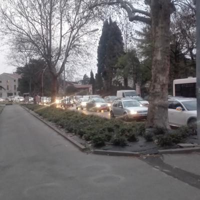 Bassanonet.it Dottor Conf e Mister Commercio