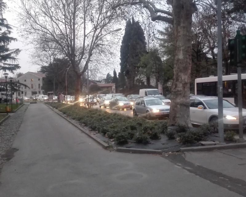 Bassanonet.it Dottor Conf e Mister Commercio