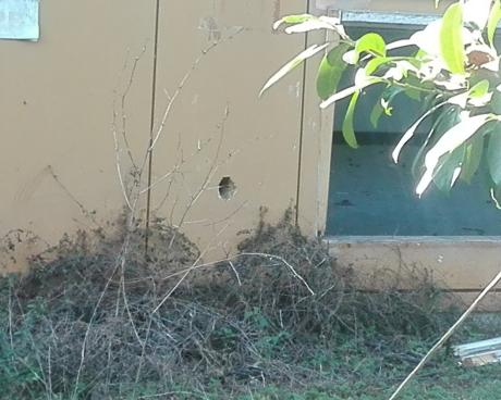 Bassanonet.it Concerto per Arpav