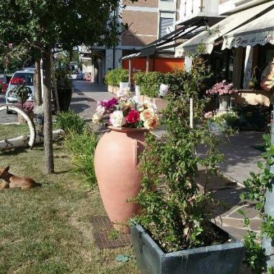 Bassanonet.it Fiori di testa