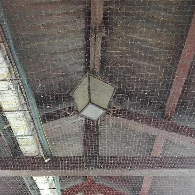 Bassanonet.it Luna Park