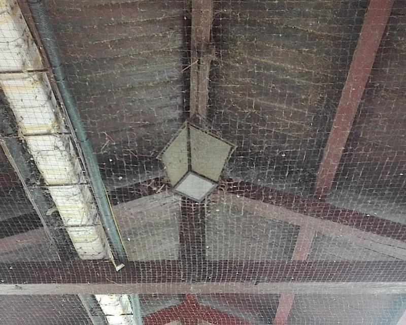 Bassanonet.it Luna Park