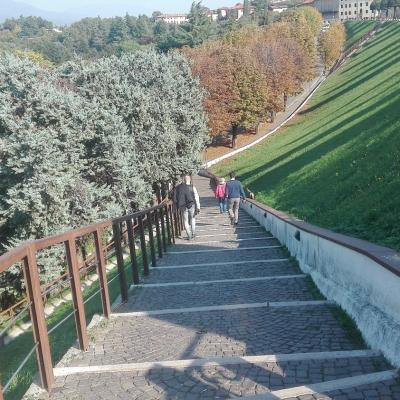 Bassanonet.it La Compagnia delle Opere