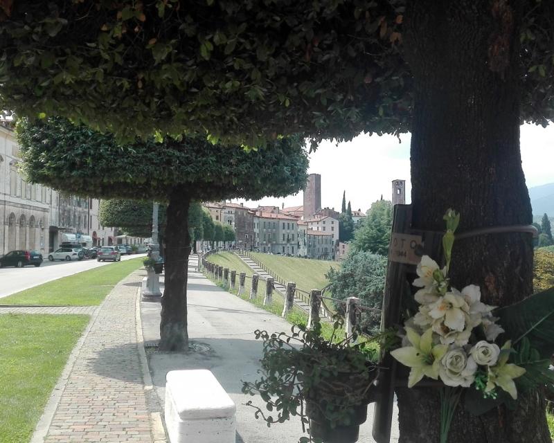 Bassanonet.it La solita Storia