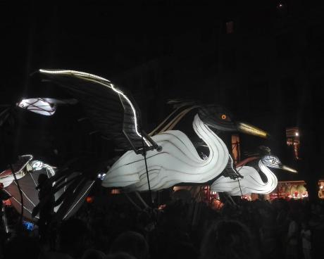 Bassanonet.it ENVOLution