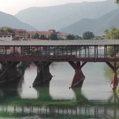 Bassanonet.it Il segno di Pirro