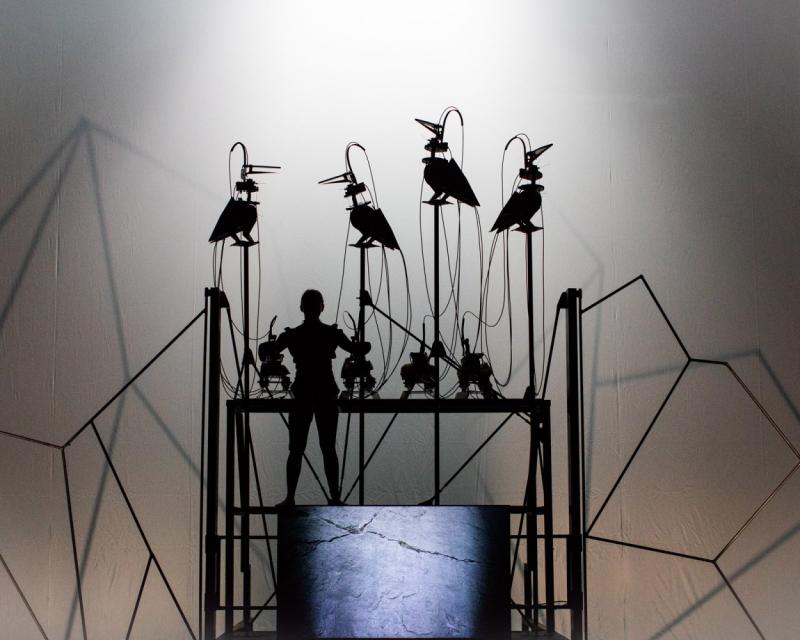 Bassanonet.it La bellezza della pace