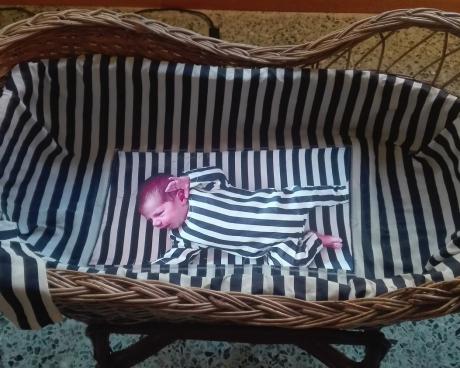 Bassanonet.it Prima Visione