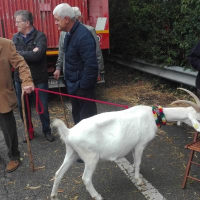 Bassanonet.it La Fattoria degli Animali