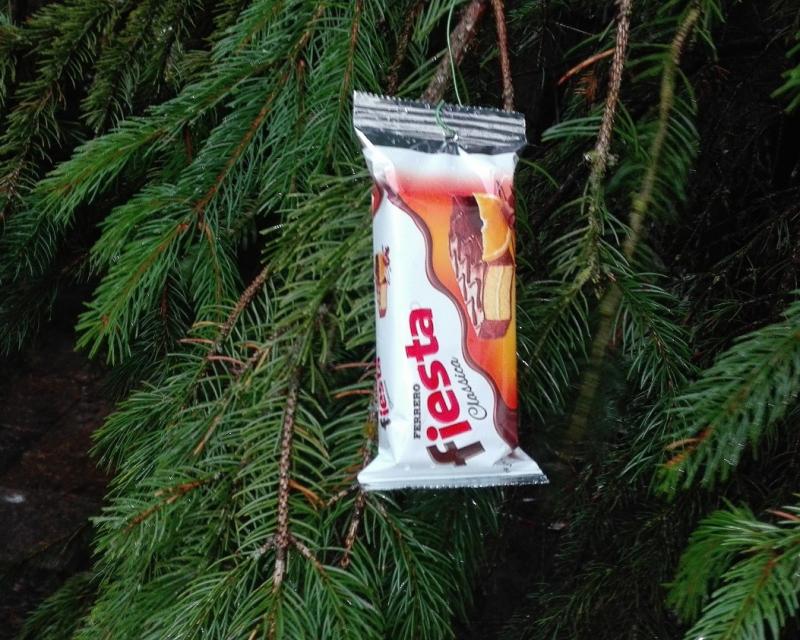 Bassanonet.it Buone Fieste