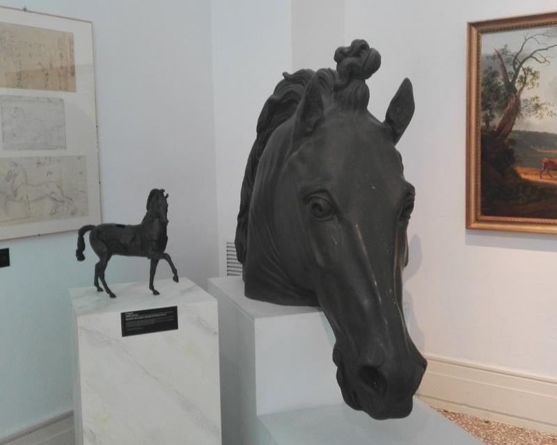 Bassanonet.it Febbre da cavallo