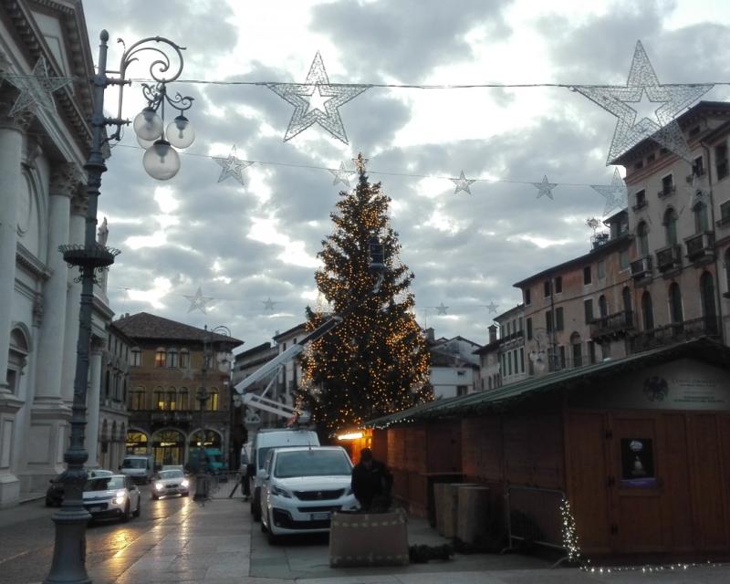 Bassanonet.it L'albero verde