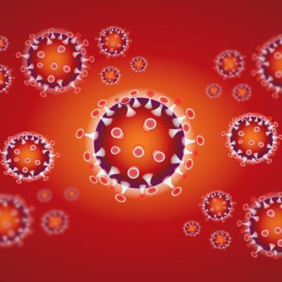 Bassanonet.it #Si Cambia