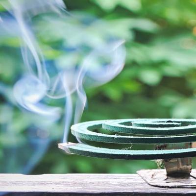 Bassanonet.it Già di ritorno, le zanzare