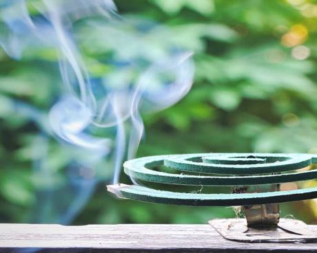 Bassanonet.it Già di ritorno, le zanzare