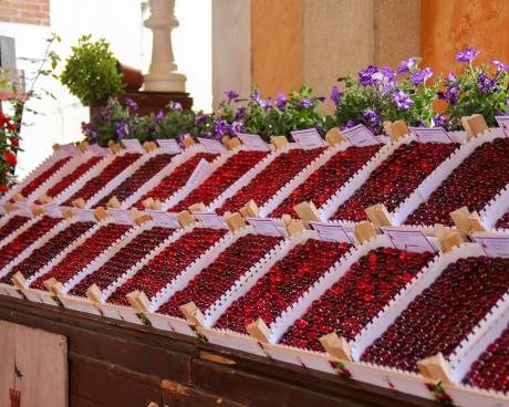 Bassanonet.it Le ciliegie virtuali