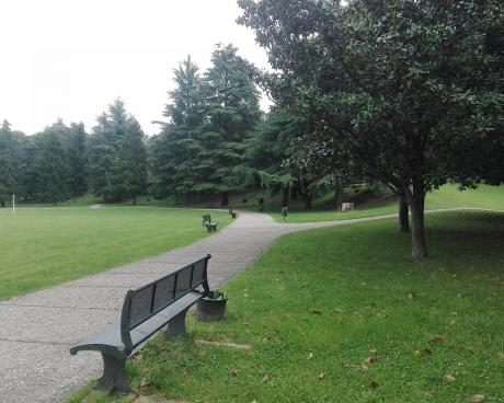 Bassanonet.it I Have a Drink