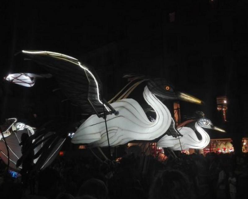 Bassanonet.it La selezione della specie