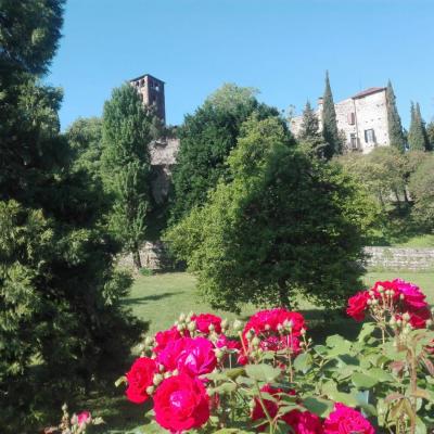 Bassanonet.it Tutte rose e fiori