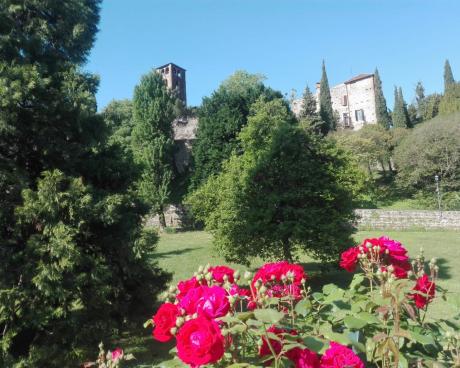 Bassanonet.it Tutte rose e fiori