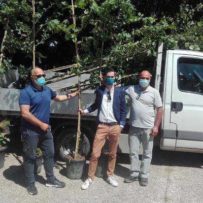 Bassanonet.it La flora tormentosa