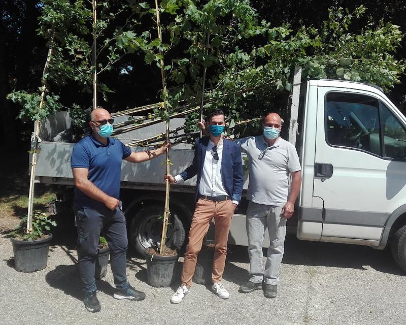 Bassanonet.it La flora tormentosa