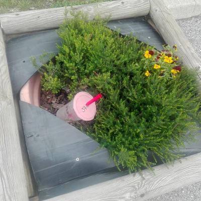 Bassanonet.it Ho visto cose