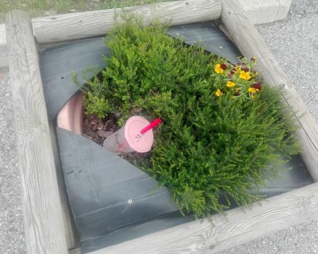 Bassanonet.it Ho visto cose