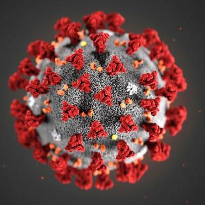 Bassanonet.it Un tranquillo weekend di paura