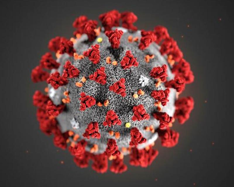 Bassanonet.it Un tranquillo weekend di paura