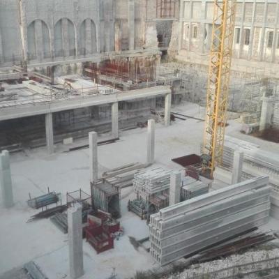 Bassanonet.it Polo can